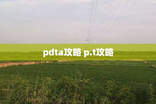 pdta攻略 p.t攻略