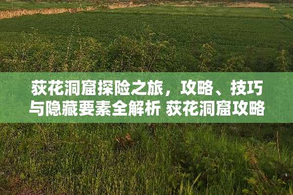 荻花洞窟探险之旅，攻略、技巧与隐藏要素全解析 荻花洞窟攻略