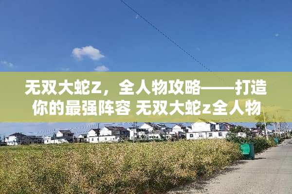 无双大蛇Z，全人物攻略——打造你的最强阵容 无双大蛇z全人物攻略