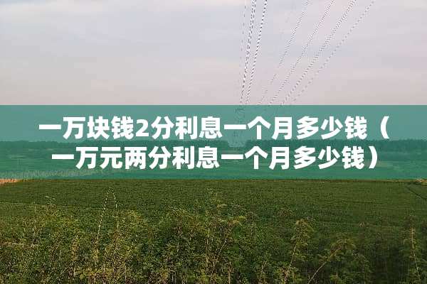 一万块钱2分利息一个月多少钱（一万元两分利息一个月多少钱）