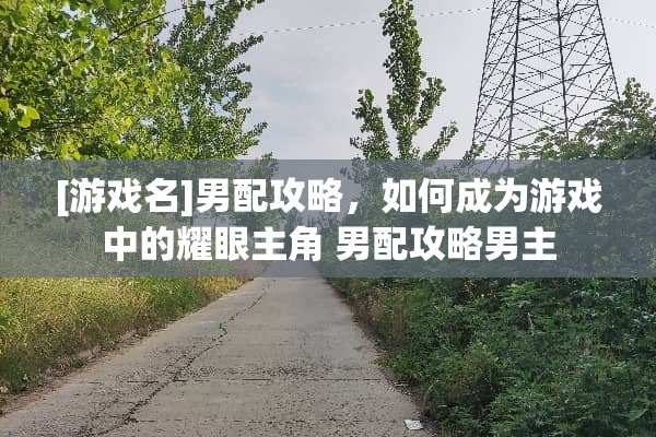 [游戏名]男配攻略，如何成为游戏中的耀眼主角 男配攻略男主