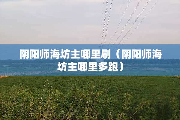 *阳师海坊主哪里刷（*阳师海坊主哪里多跑）