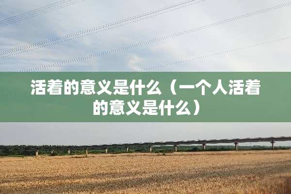 活着的意义是什么（一个人活着的意义是什么）