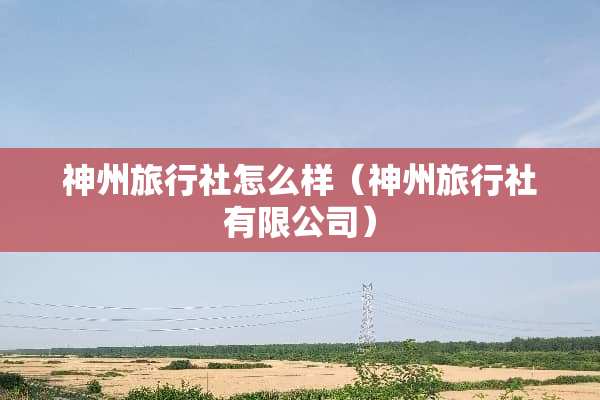 神州旅行社怎么样（神州旅行社有限公司）