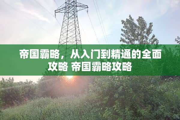 帝国霸略，从入门到精通的全面攻略 帝国霸略攻略