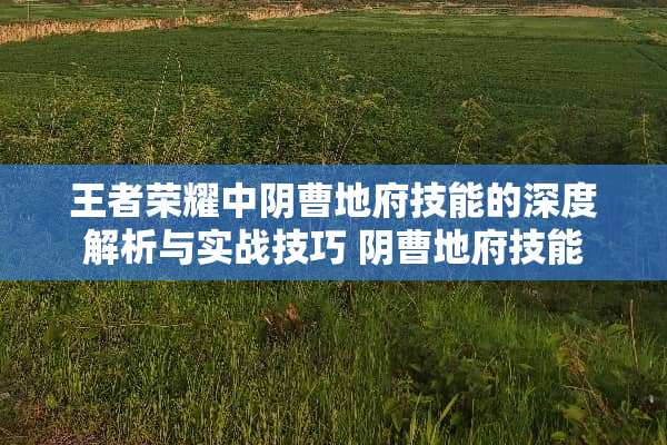 王者荣耀中*曹地府技能的深度解析与实战技巧*曹地府技能