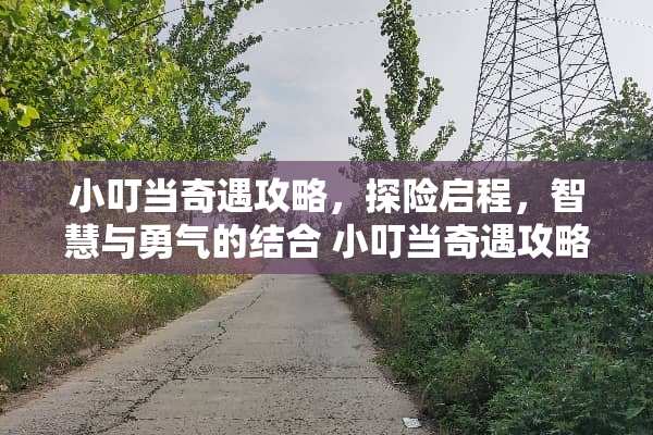 小叮当奇遇攻略，探险启程，智慧与勇气的结合 小叮当奇遇攻略