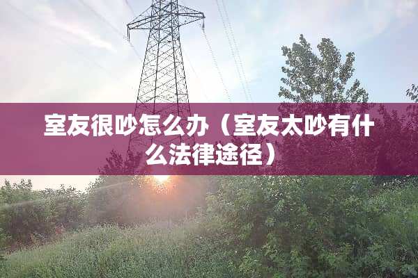 室友很吵怎么办（室友太吵有什么法律途径）