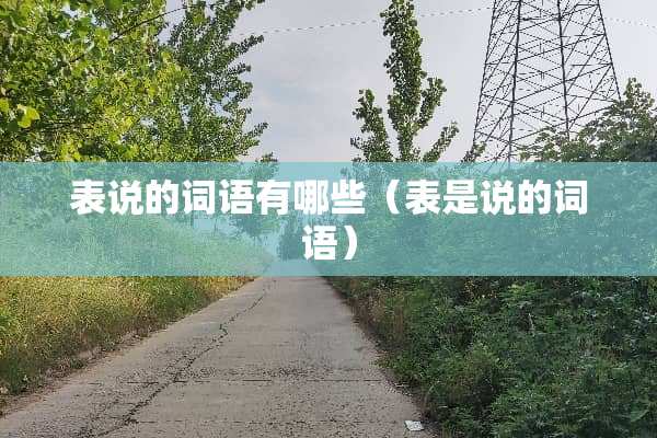 表说的词语有哪些(表是说的词语) 表说的词语有哪些(表是说的词语)