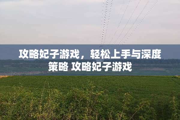 攻略妃子游戏，轻松上手与深度策略 攻略妃子游戏