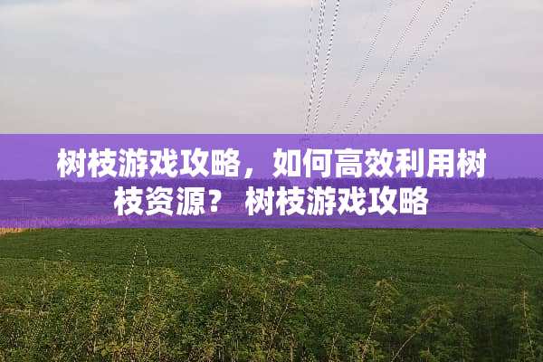 树枝游戏攻略，如何高效利用树枝资源？ 树枝游戏攻略
