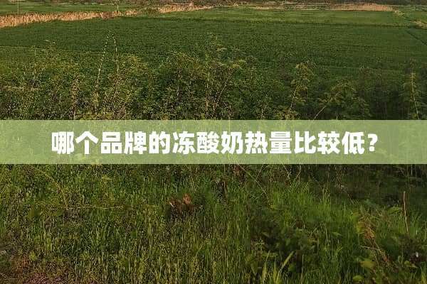 哪个品牌的冻酸奶热量比较低？