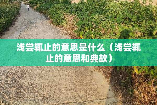 浅尝辄止的意思是什么（浅尝辄止的意思和典故）