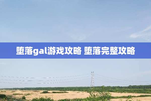 **gal游戏攻略**完整攻略