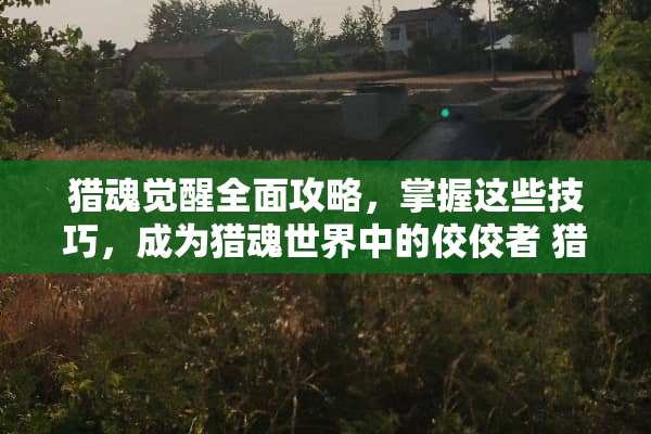 猎魂觉醒全面攻略，掌握这些技巧，成为猎魂世界中的佼佼者 猎魂觉醒攻略