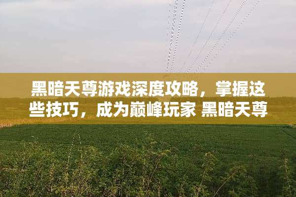 黑暗天尊游戏深度攻略，掌握这些技巧，成为巅峰玩家 黑暗天尊攻略