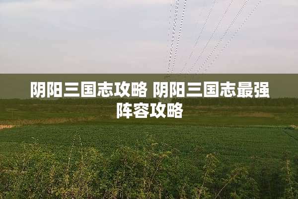 *阳三国志攻略*阳三国志最强阵容攻略