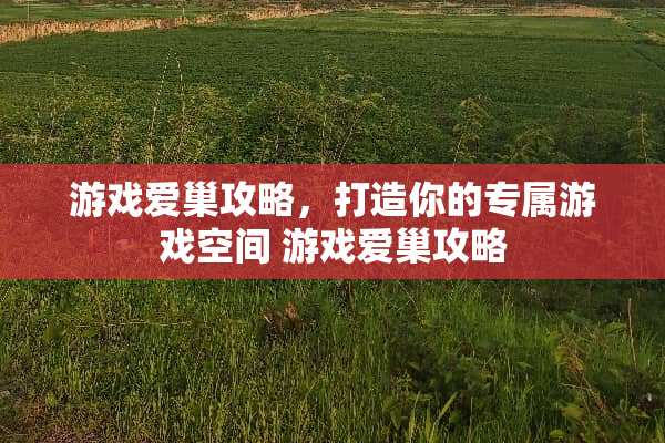 游戏爱巢攻略，打造你的专属游戏空间 游戏爱巢攻略