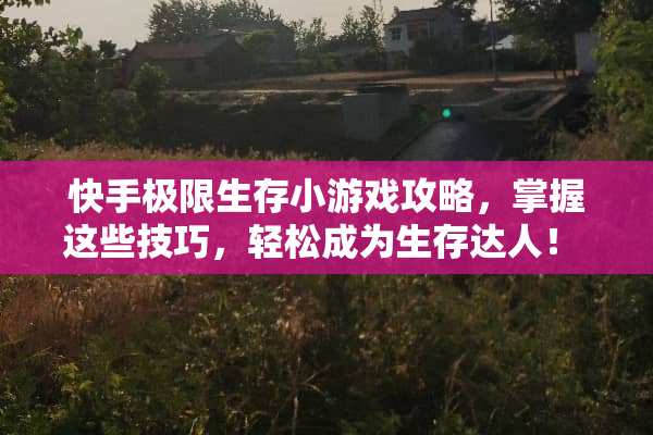 快手极限生存小游戏攻略，掌握这些技巧，轻松成为生存达人！ 快手极限生存小游戏攻略