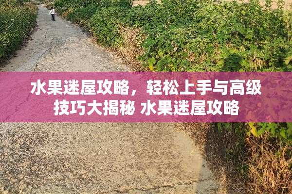 水果迷屋攻略，轻松上手与高级技巧大揭秘 水果迷屋攻略