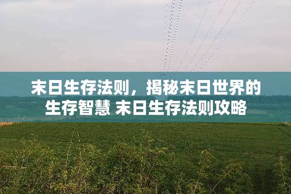 末日生存法则，揭秘末日世界的生存智慧 末日生存法则攻略