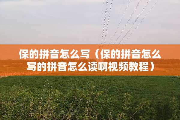 保的拼音怎么写（保的拼音怎么写的拼音怎么读啊视频教程）