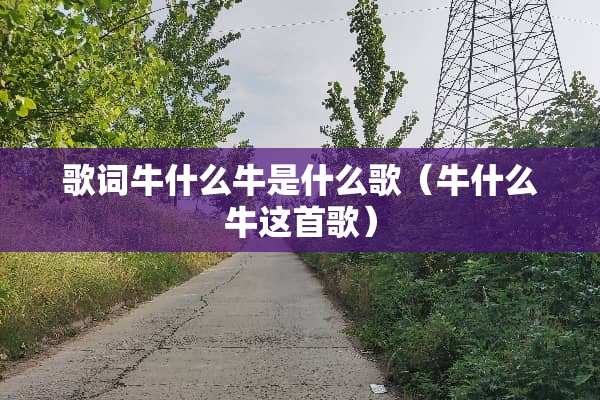 歌词牛什么牛是什么歌（牛什么牛这首歌）