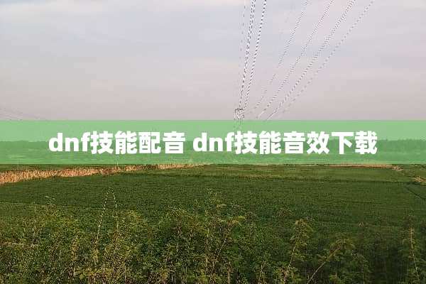 dnf技能配音 dnf技能音效下载