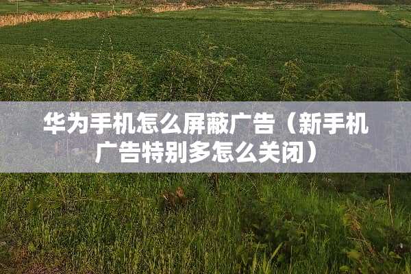 华为手机怎么屏蔽广告（新手机广告特别多怎么关闭）