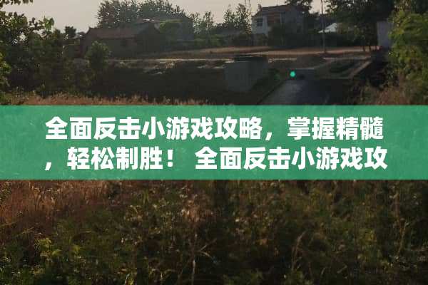 全面反击小游戏攻略，掌握精髓，轻松制胜！ 全面反击小游戏攻略