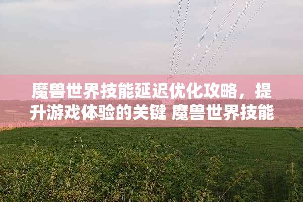 魔兽世界技能延迟优化攻略，提升游戏体验的关键 魔兽世界技能延迟