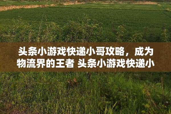 头条小游戏快递小哥攻略，成为物流界的王者 头条小游戏快递小哥攻略
