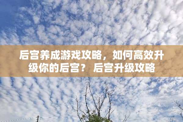 后宫养成游戏攻略，如何高效升级你的后宫？ 后宫升级攻略