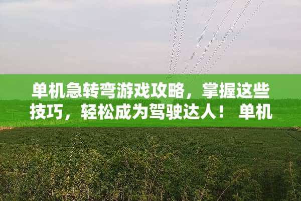 单机急转弯游戏攻略,掌握这些技巧,轻松成为驾驶达人! 单机急转弯游戏攻略 单机急转弯游戏攻略,掌握这些技巧,轻松成为驾驶达人! 单机急转弯游戏攻略