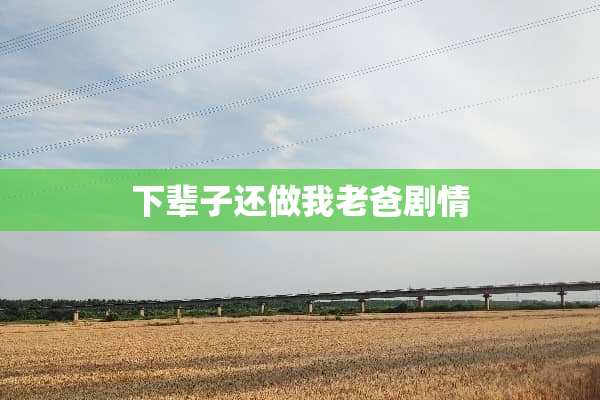 下辈子还做我老爸剧情