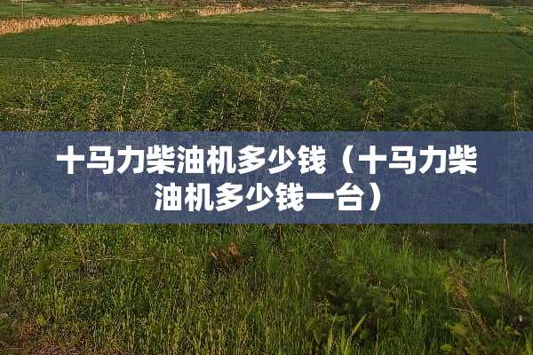 十马力柴油机多少钱（十马力柴油机多少钱一台）