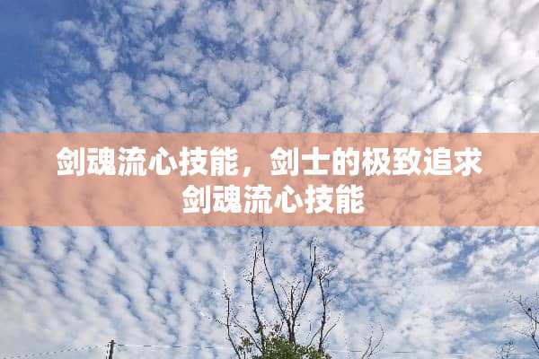 剑魂流心技能，剑士的极致追求 剑魂流心技能