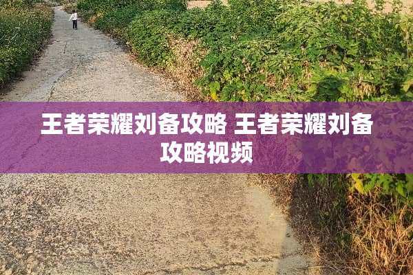 王者荣耀刘备攻略 王者荣耀刘备攻略视频