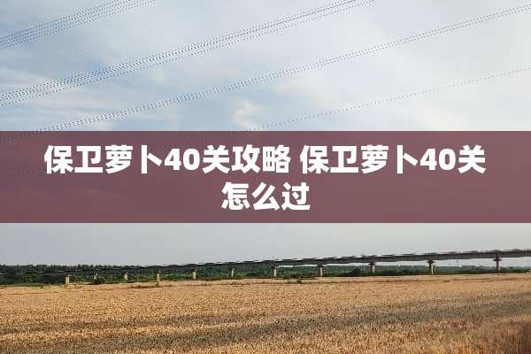 保卫萝卜40关攻略 保卫萝卜40关怎么过