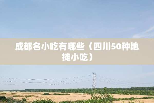 成都名小吃有哪些（四川50种地摊小吃）