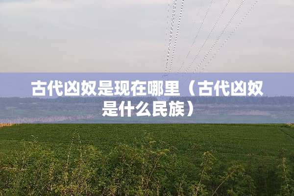 古代凶奴是现在哪里（古代凶奴是什么民族）