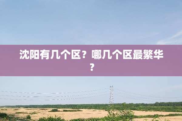 沈阳有几个区？哪几个区最繁华？