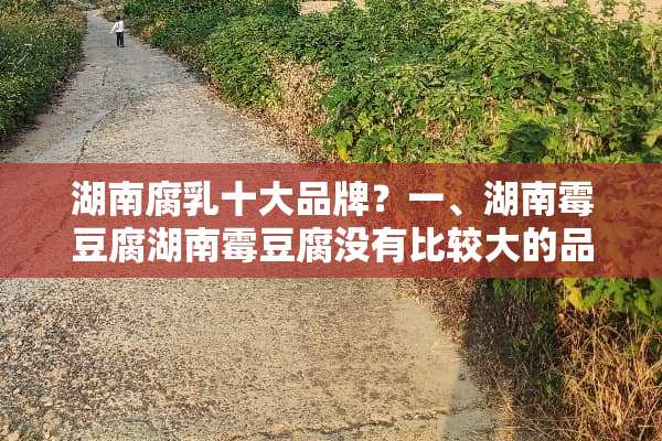 湖南腐*十大品牌？一、湖南霉豆腐湖南霉豆腐没有比较大的品牌