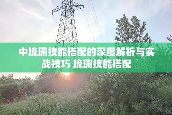 中琉璃技能搭配的深度解析与实战技巧 琉璃技能搭配
