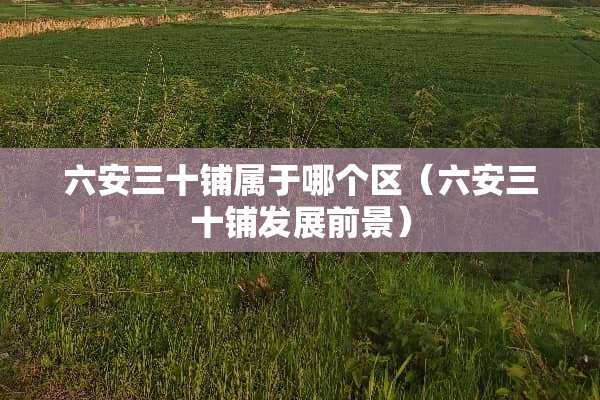 六安三十铺属于哪个区（六安三十铺发展前景）