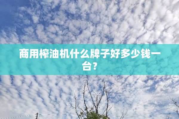 商用榨油机什么牌子好多少钱一台？