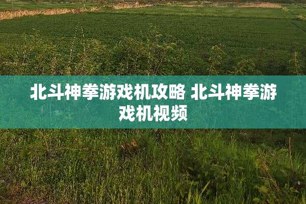 北斗神拳游戏机攻略 北斗神拳游戏机视频