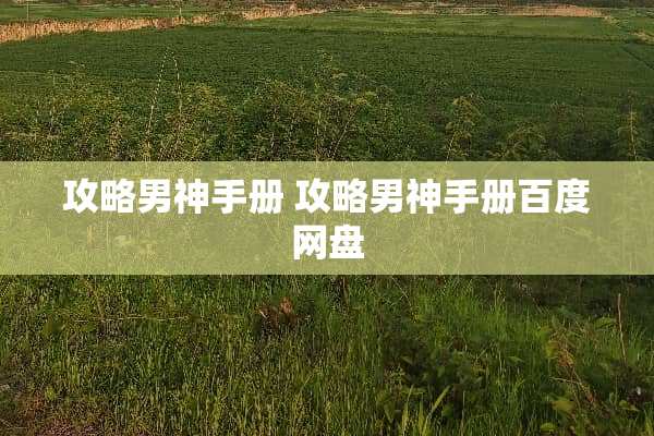 攻略男神手册 攻略男神手册百度网盘