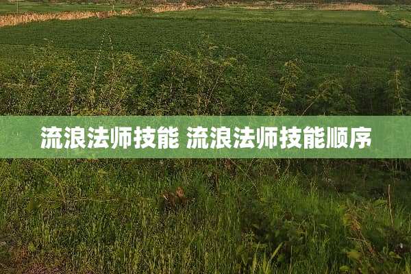 流浪法师技能 流浪法师技能顺序