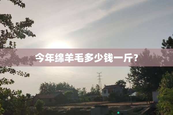 今年绵羊毛多少钱一斤？